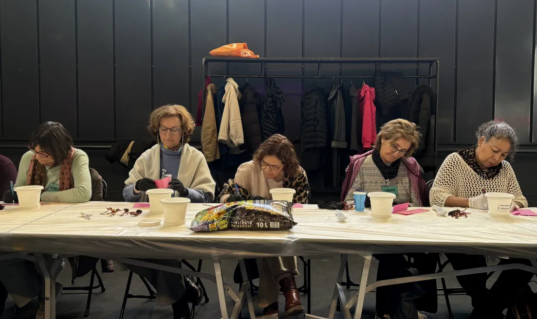 Escuela de espectadores Sénior: Filosofía mundana