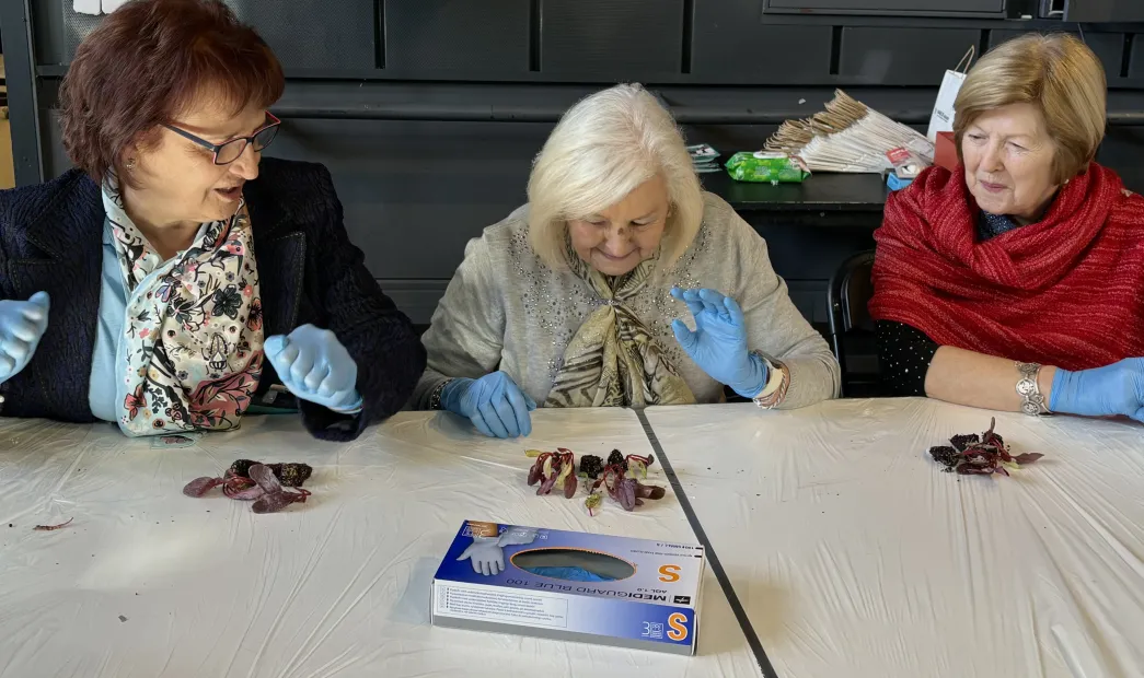 Escuela de espectadores Sénior: Filosofía mundana