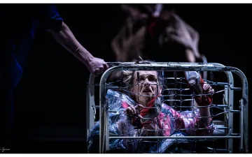 Todos los ángeles alzaron el vuelo - La Zaranda